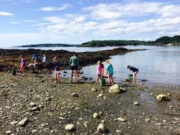 Cow Island