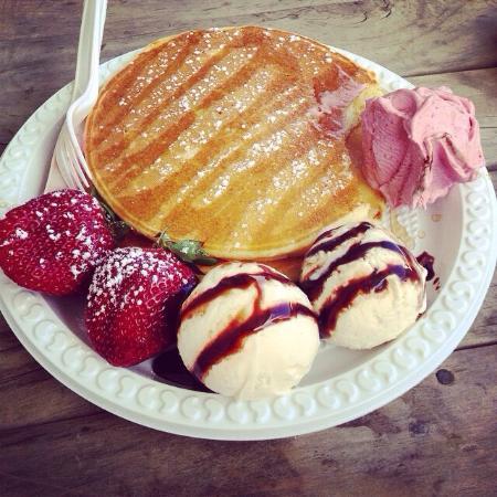 The Strawberry Farm