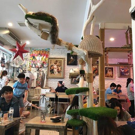 Caturday Cat Cafe