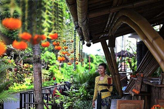 The Shed Bali