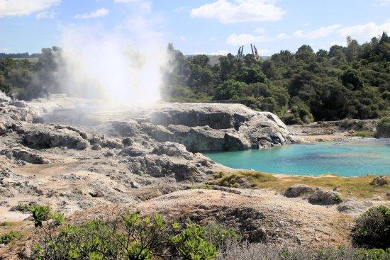 Whakarewarewa