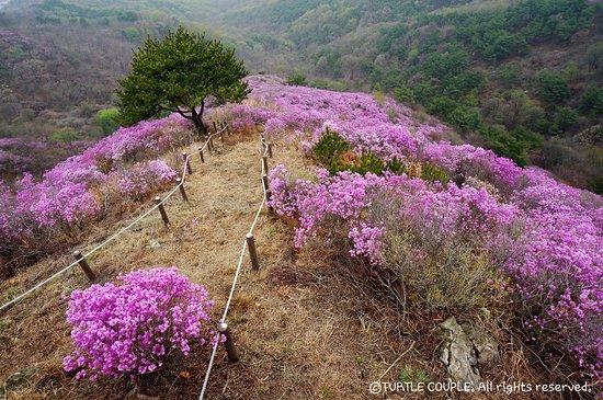 Goryeosan Mountain