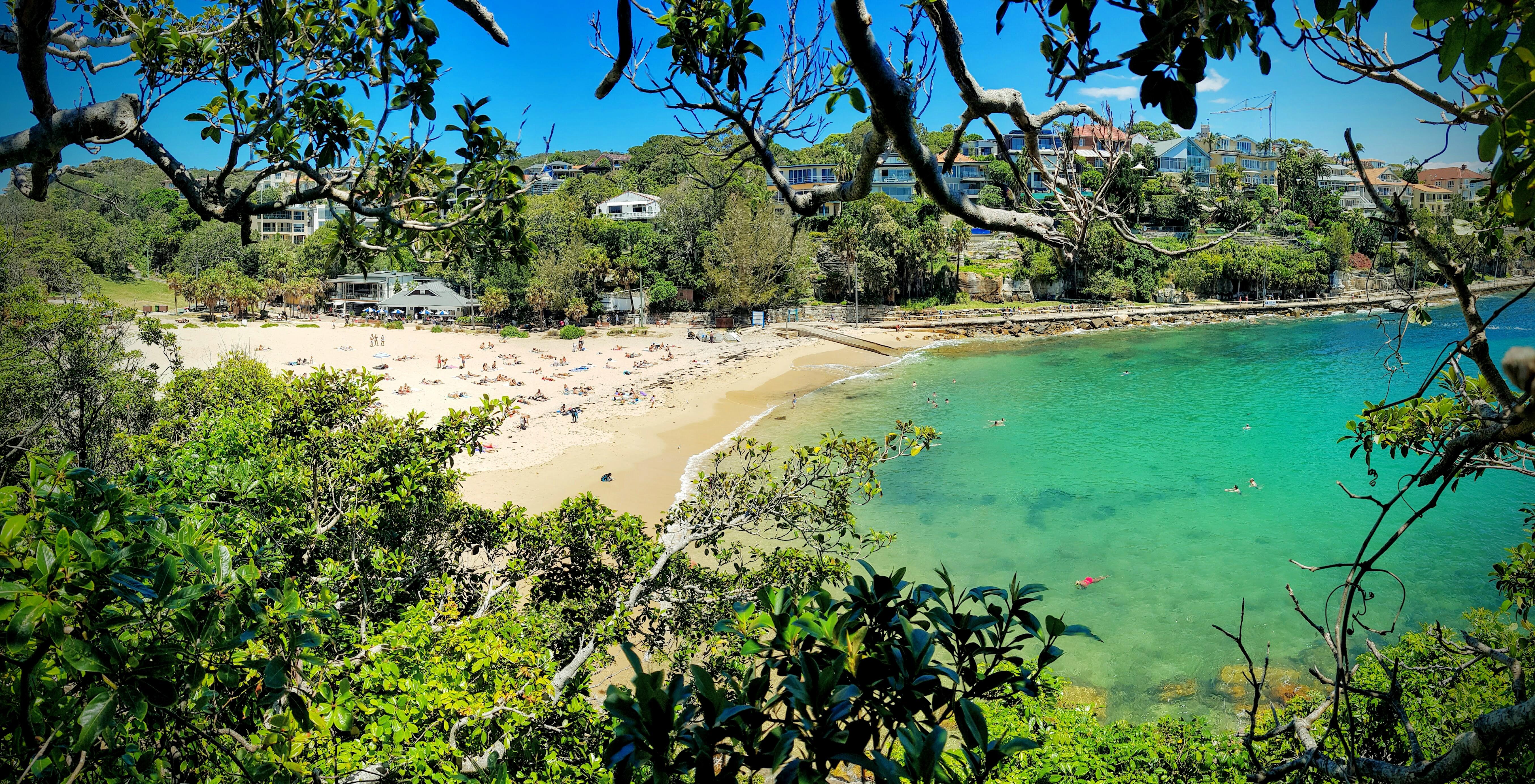 Shelly Beach