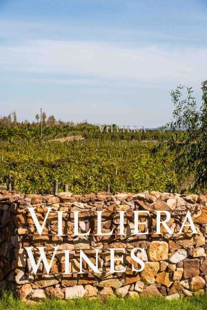 Villiera Wines