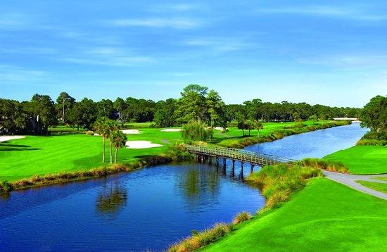 The Golf Courses of Palmetto Dunes