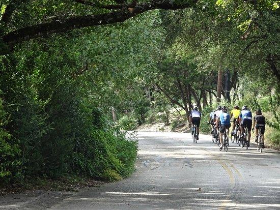 Texas Bike Tours