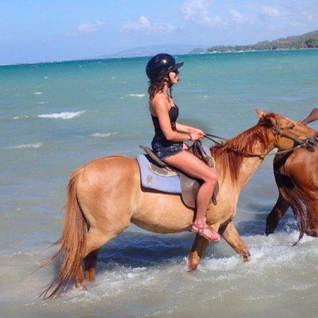 JusTours Jamaica - Horseback Ride 'n' Swim Tour