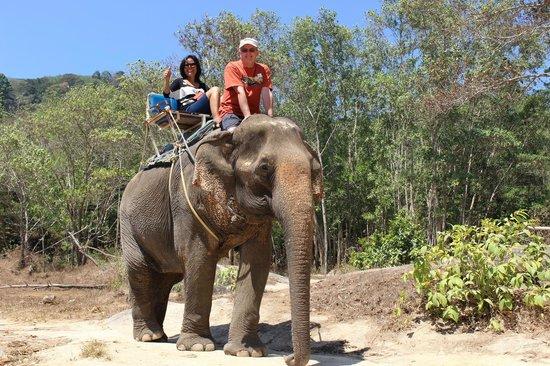 Amazing Bukit Safari