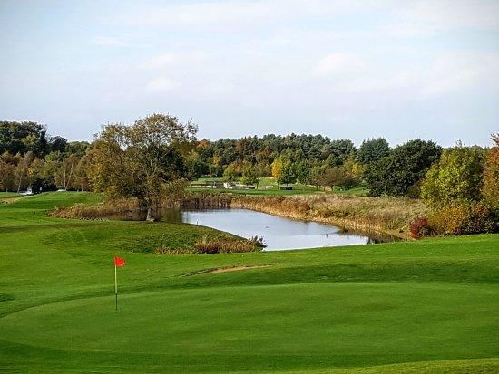 Dummer Golf Club