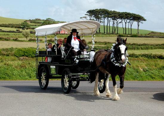 Dingle Jaunting