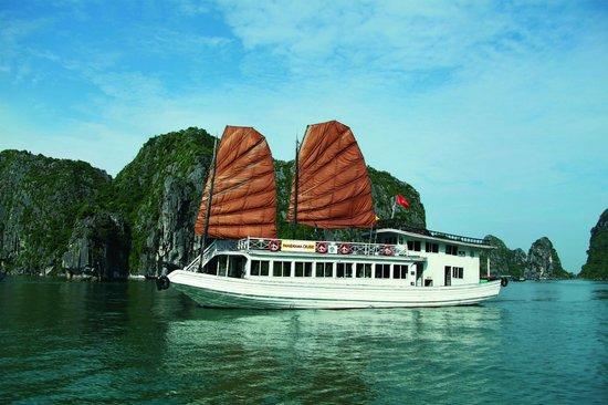 Panorama Cruise - 1 Day Trip