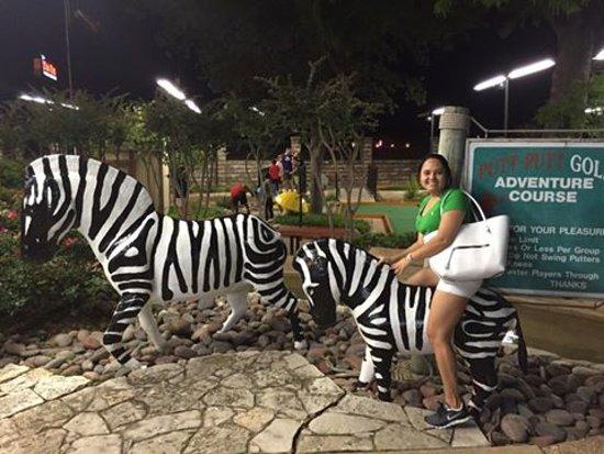 Putt-Putt Fun Center