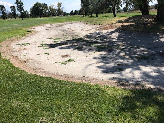 Rose Park Golf Course