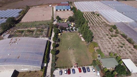 Antalya Binicilik ve Atlispor Kulubu