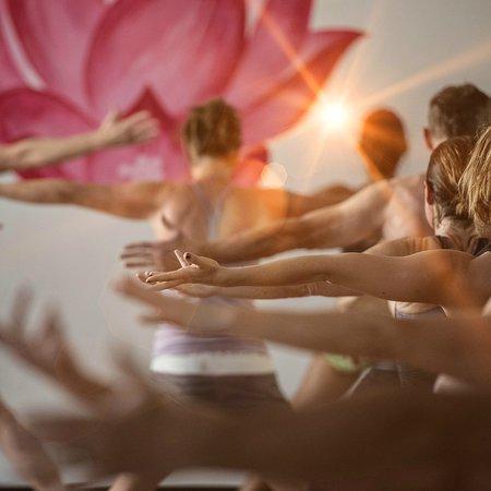 Yoga Pod