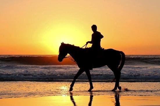 Agadir Attractions