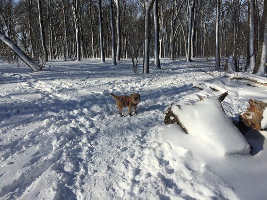 Maple Grove Park