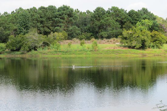 Jarvis Creek Park