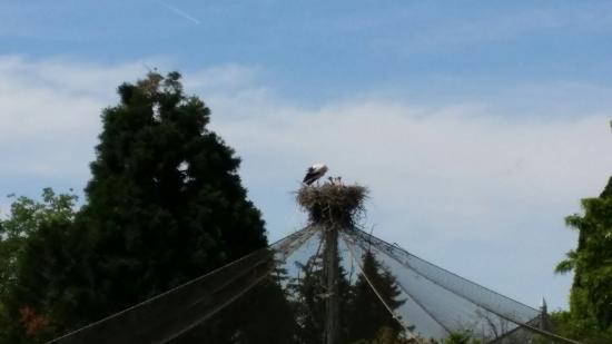 Heidelberg Zoo