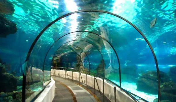 Sea Life Bangkok Ocean World