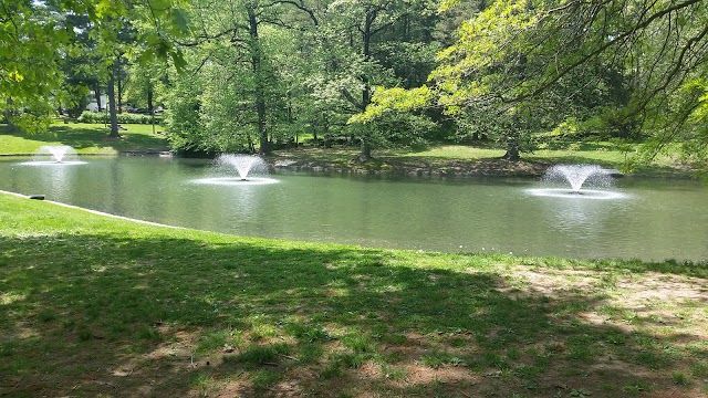 Pastorius Park