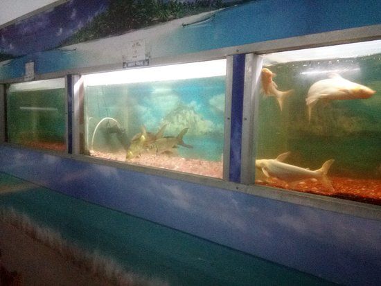 State Aquarium