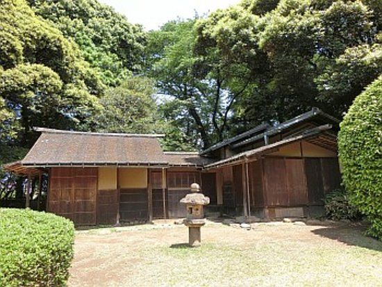 National Museum of Nature and Science
