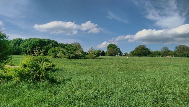 Steinhofgrunde