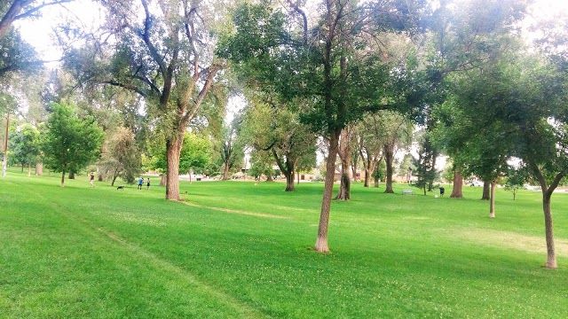 Hyder Park