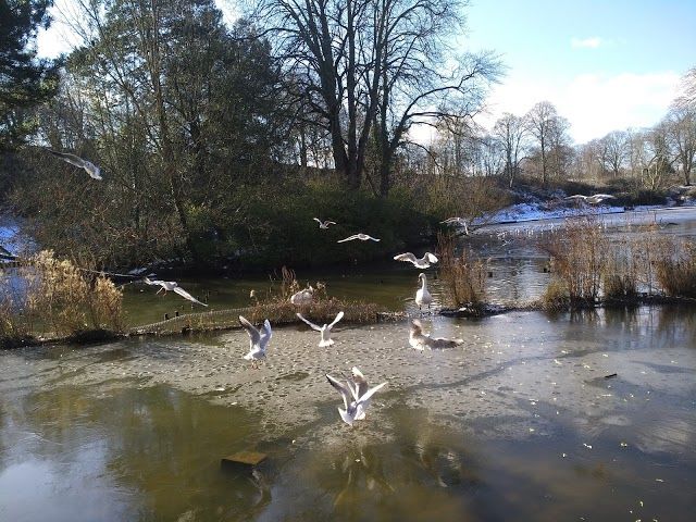 Eastville Park