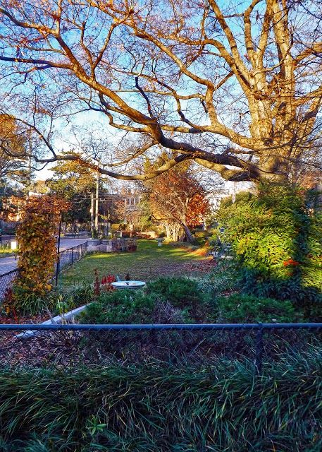 Scuffletown Park