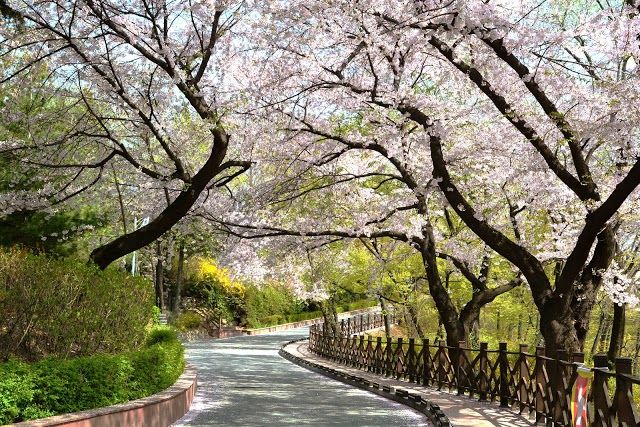 Subong Park