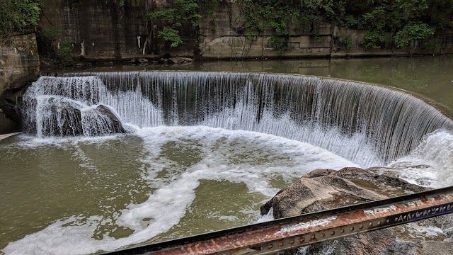 Wyman Park