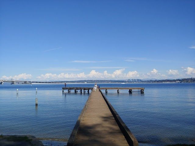 Mount Baker Beach