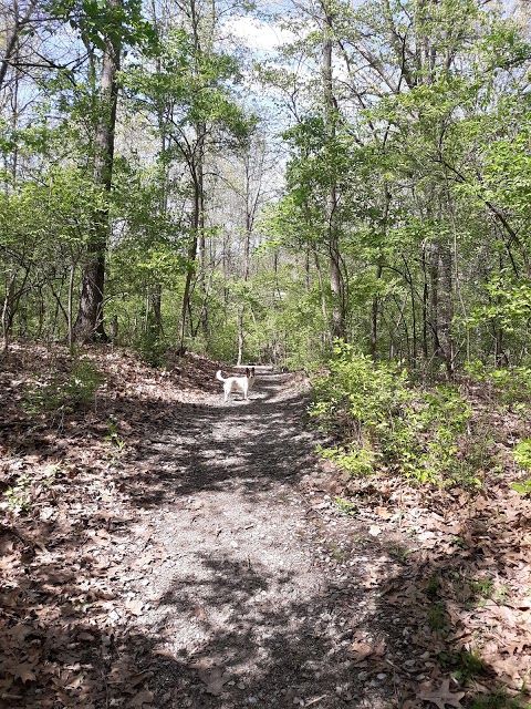 Derby Hill