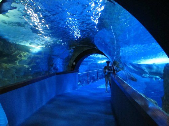 Aquarium