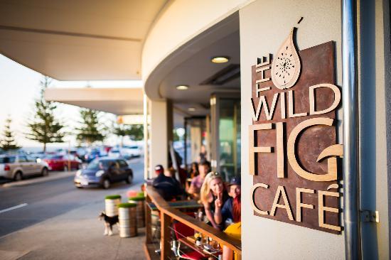 The Wild Fig