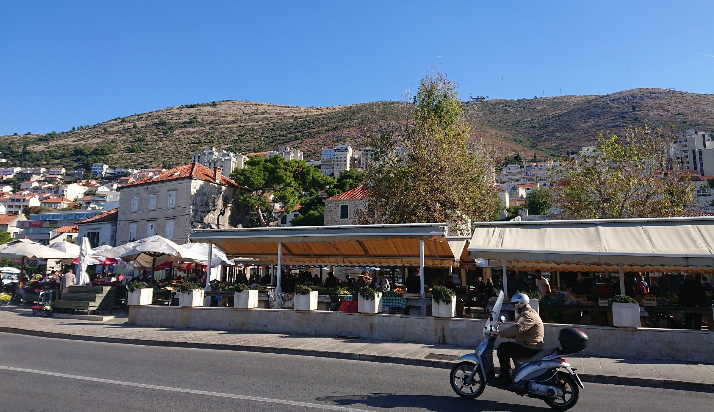 Gruz Open Market