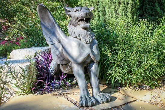 Dragon Park
