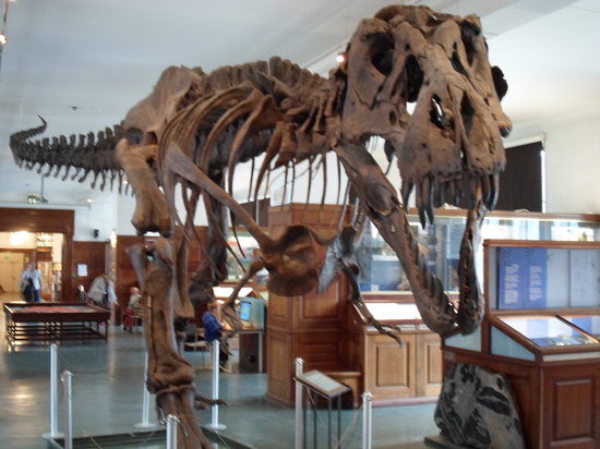 Natural History Museum