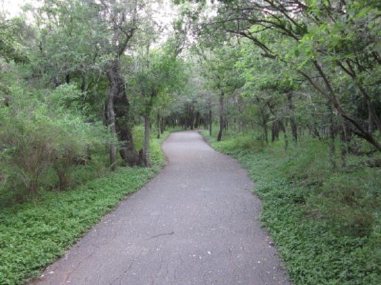 McAllister Park