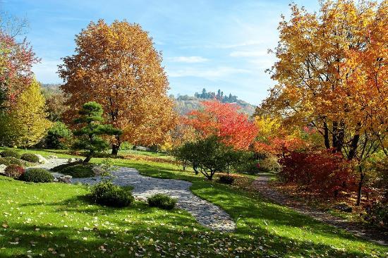 Prague Botanical Garden