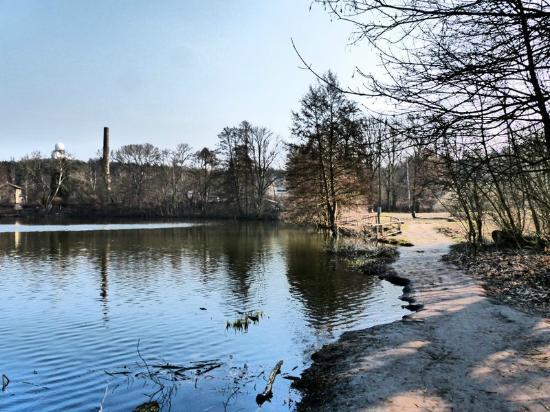 Grunewald Forest