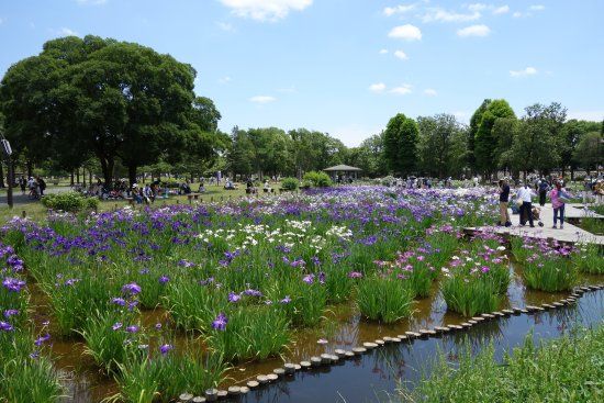 Mizumoto Park