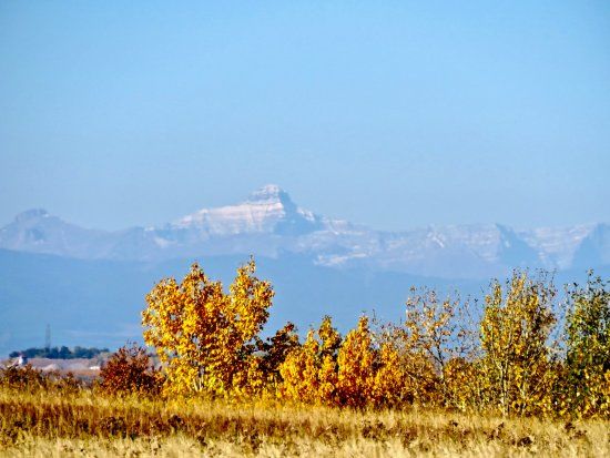 Nose Hill Park