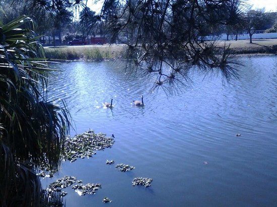 Lake Mayer Park