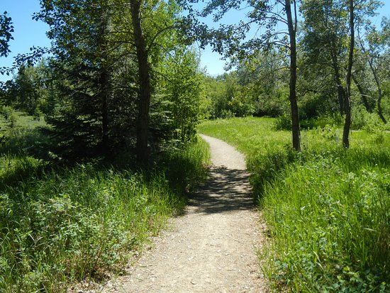 Carburn Park