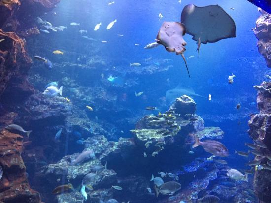 Kyoto Aquarium