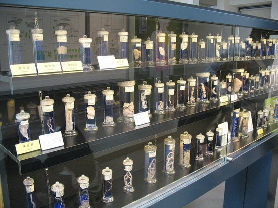 Meguro Parasitological Museum