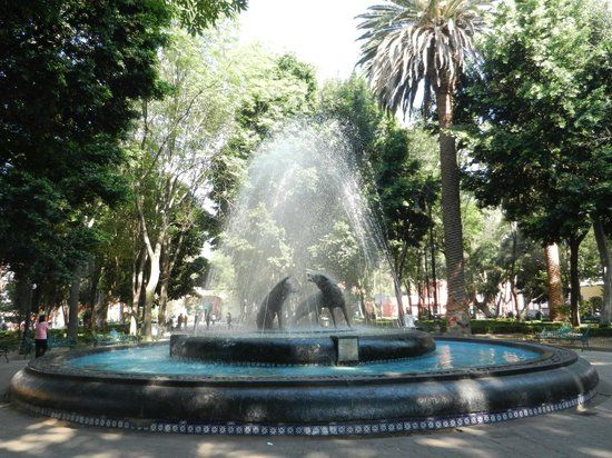 Centenario Garden